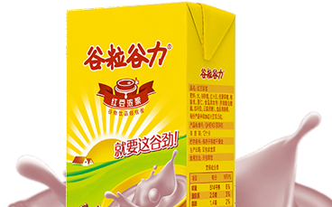 �ڲ�����(�й���)���޹�˾����